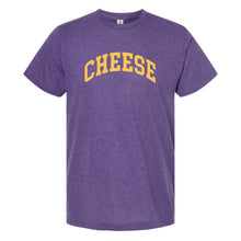 Wisconsin Varsity Cheese T-Shirt